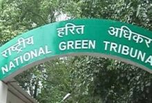 भोपाल का कलियासोत–भोज वेटलैंड विवाद: एनजीटी ने प्रशासन की निष्क्रियता पर लगाई फटकार