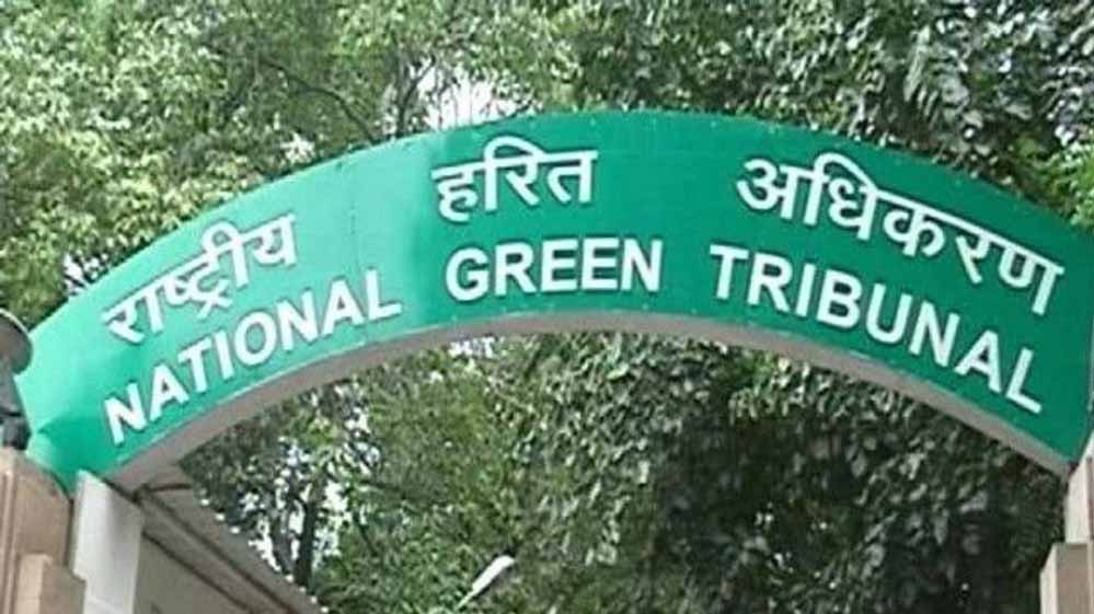 भोपाल का कलियासोत–भोज वेटलैंड विवाद: एनजीटी ने प्रशासन की निष्क्रियता पर लगाई फटकार