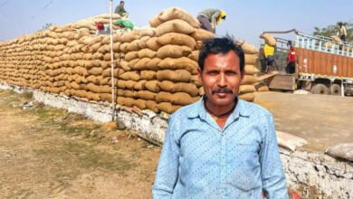 रायपुर : धान खरीदी तिहार किसानों के लिए खुशियों और राहत की सौगात