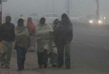 सावधान! हाड़ कंपाने वाली ठंड और घना कोहरा, IMD ने जारी किया अलर्ट