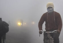 MP में कड़ाके की ठंड और कोहरा, 19 जिलों में स्कूलों की छुट्टी, बड़वानी में दूध टैंकर पलटा—एक की मौत