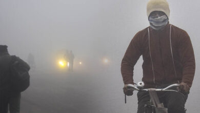 MP में कड़ाके की ठंड और कोहरा, 19 जिलों में स्कूलों की छुट्टी, बड़वानी में दूध टैंकर पलटा—एक की मौत