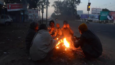 एमपी में कड़ाके की ठंड, उमरिया में रिकॉर्ड तोड़ा; भोपाल, इंदौर और ग्वालियर में स्कूलों की छुट्टी एमपी में कड़ाके की ठंड, उमरिया में रिकॉर्ड तोड़ा; भोपाल, इंदौर और ग्वालियर में स्कूलों की छुट्टी