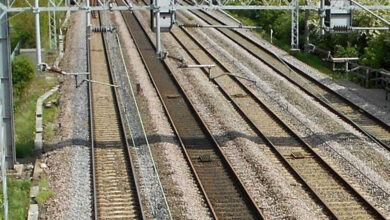 MP: इंदौर-बुधनी नई रेल लाइन के लिए 277 पेड़ कटेंगे, प्रशासन ने मंजूरी दी शर्तों के साथ