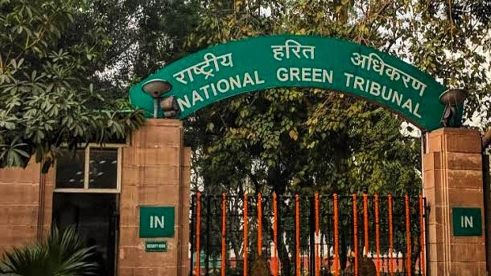 एमपी में प्रदूषण की बढ़ती समस्या, NGT ने सरकार से 8 शहरों पर रिपोर्ट मांगी एमपी में प्रदूषण की बढ़ती समस्या, NGT ने सरकार से 8 शहरों पर रिपोर्ट मांगी