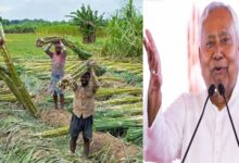 बिहार में नए गन्ना किसानों को फ्री में मिलेगा बीज, 15 दिन के अंदर रजिस्ट्रेशन करवाने के निर्देश