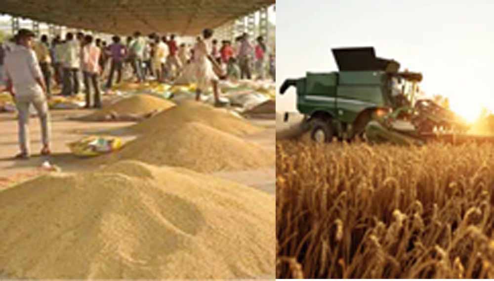 बिहार में ‘कृषि सुपर बाजार’ का किसानों को मिलेगा सीधा लाभ, बिचौलियों का खेल खत्म