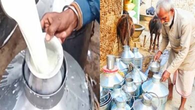 मकर संक्रांति से पहले दूध की किल्लत, भागलपुर में 100 रुपये प्रति लीटर तक पहुंचे दाम