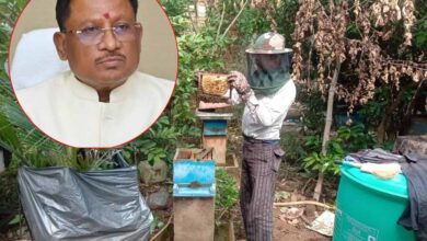 CG News: साय सरकार में खेती के साथ मधुमक्खी पालन बनीं उदय राम की रोजगार की कुंजी, कृषि विज्ञान केंद्र से लिया था प्रशिक्षण CG News: साय सरकार में खेती के साथ मधुमक्खी पालन बनीं उदय राम की रोजगार की कुंजी, कृषि विज्ञान केंद्र से लिया था प्रशिक्षण