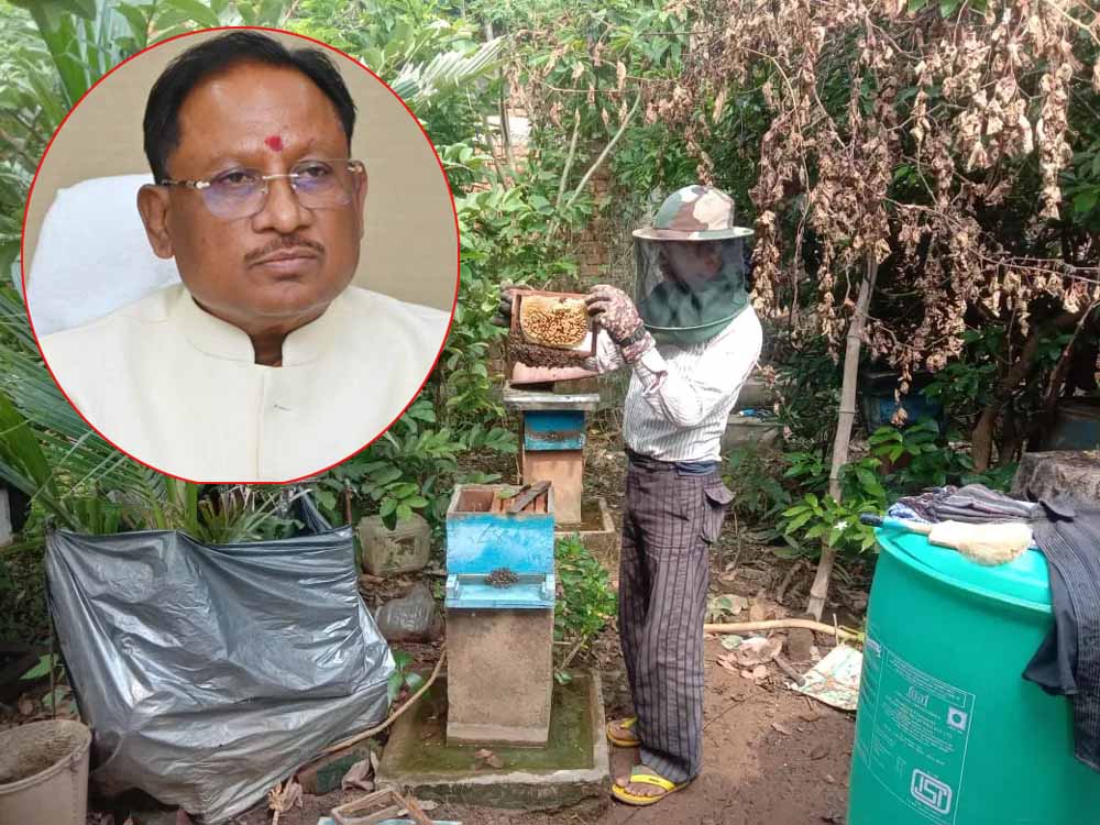 CG News: साय सरकार में खेती के साथ मधुमक्खी पालन बनीं उदय राम की रोजगार की कुंजी, कृषि विज्ञान केंद्र से लिया था प्रशिक्षण