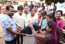 छत्तीसगढ़ में मनाया जा रहा छेरछेरा तिहार पर्व, सामाजिक समरसता और लोक संस्कृति का है उत्सव