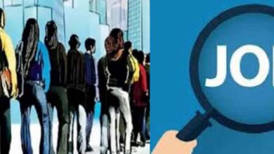 रायपुर में तीन दिन चलेगा राज्य स्तरीय रोजगार मेला, सरकार के ‘हाथ में रोजगार’ के फैसले से युवा खुश