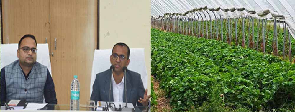 कलेक्टर वसंत ने की कृषि, उद्यानिकी, पशुधन विकास की समीक्षा, उद्यानिकी योजनाओं का करें प्रभावी क्रियान्वयन