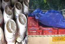 रायगढ़ में ग्रामीणों ने पकड़ा नकली दही, असली के पैकेट में पिकअप से सप्लाई