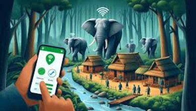 गरियाबंद को मानव-हाथी द्वंद्व रोकने पर मिला मुख्यमंत्री उत्कृष्ट पुरस्कार, एलिफेंट ट्रैकिंग अलर्ट एप बना मददगार