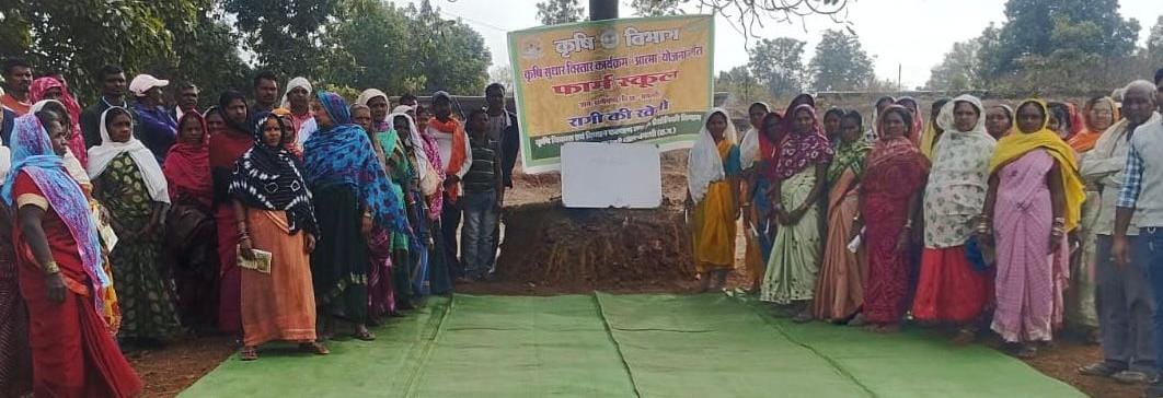 50 वर्षों बाद धमतरी के आदिवासी अंचल में रबी खेती की वापसी,35 एकड़ में रागी उत्पादन से बदली खेती की तस्वीर