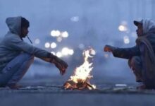 यूपी में अलर्ट! अगले 7 दिनों तक छाया रहेगा घना कोहरा, उत्तर भारत में बढ़ेगी कड़ाके की ठंड