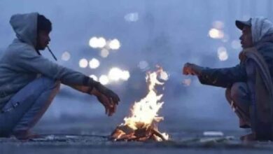 यूपी में अलर्ट! अगले 7 दिनों तक छाया रहेगा घना कोहरा, उत्तर भारत में बढ़ेगी कड़ाके की ठंड