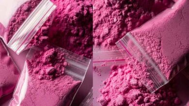 अमेरिका में गुलाबी कोकीन का खौफ: ट्रंप दौर में फैला नया नशा, सेवन करते ही शरीर पड़ता है नीला अमेरिका में गुलाबी कोकीन का खौफ: ट्रंप दौर में फैला नया नशा, सेवन करते ही शरीर पड़ता है नीला