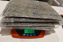 अहमदाबाद एयरपोर्ट पर बड़ा ड्रग्स रैकेट बेनकाब, 12.50 करोड़ की खेप जब्त, 4 तस्कर गिरफ्तार