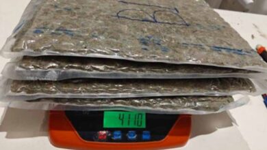 अहमदाबाद एयरपोर्ट पर बड़ा ड्रग्स रैकेट बेनकाब, 12.50 करोड़ की खेप जब्त, 4 तस्कर गिरफ्तार