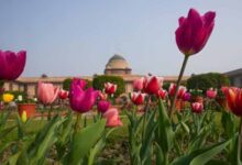 जनता के लिए आज से खुला राष्ट्रपति भवन का ‘अमृत उद्यान’ — जानें टिकट, टाइमिंग और जरूरी जानकारी