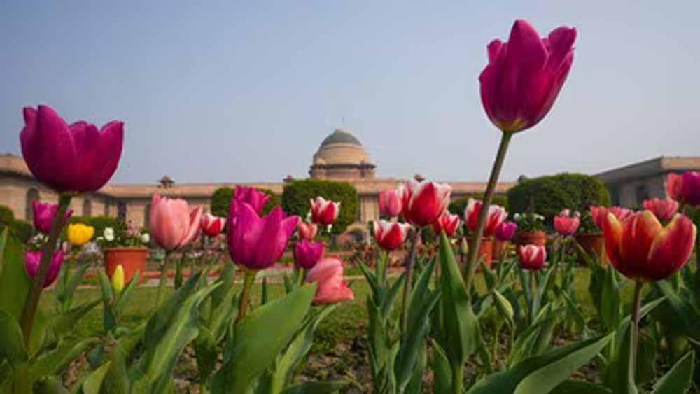 जनता के लिए आज से खुला राष्ट्रपति भवन का ‘अमृत उद्यान’ — जानें टिकट, टाइमिंग और जरूरी जानकारी