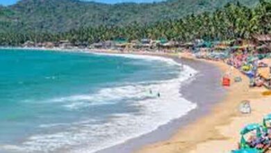 सर्दियों से छुटकारा! जनवरी-फरवरी में घूमने के लिए ये गर्म डेस्टिनेशन हैं परफेक्ट