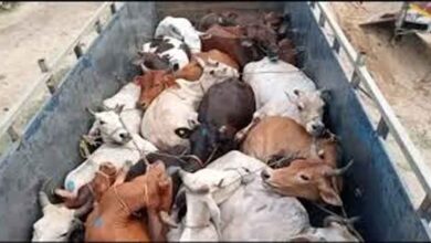 ओडिशा में गोमांस अफवाह से हड़कंप, भीड़ ने दुकान और वाहन जलाए ओडिशा में गोमांस अफवाह से हड़कंप, भीड़ ने दुकान और वाहन जलाए