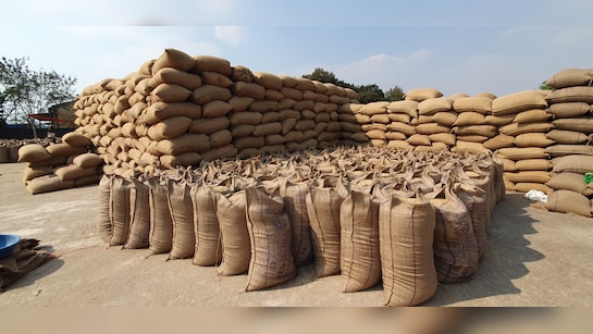 धान भंडारण में सूखत एवं कीट-जनित क्षय: वैज्ञानिक एवं स्वाभाविक प्रक्रिया