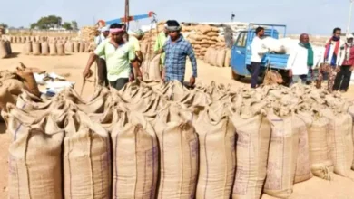 धान खरीदी में नया रिकॉर्ड: 13 जनवरी तक 17.77 लाख किसानों के खातों में पहुंचा ₹23,448 करोड़