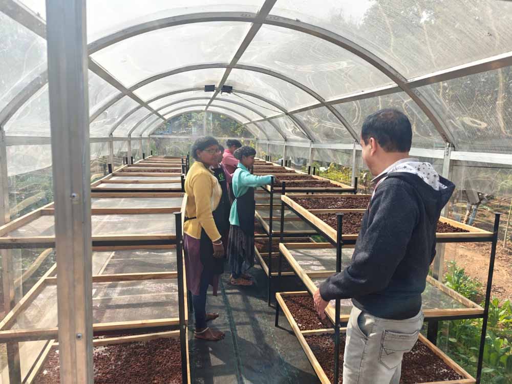 जशपुर में हरित तकनीक की पहल: DST प्रायोजित परियोजना से स्थापित हुआ सोलर टनल ड्रायर जशपुर में हरित तकनीक की पहल: DST प्रायोजित परियोजना से स्थापित हुआ सोलर टनल ड्रायर