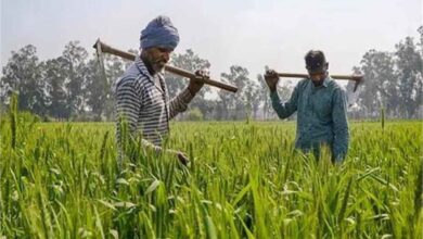 PM-KISAN पर बड़ा ऐलान संभव! बजट 2026 में बढ़ सकती है किसान सम्मान निधि, जानें कितनी होगी नई किश्त