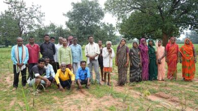 छोटे किसानों की किस्मत संवार रही लेमनग्रास खेती