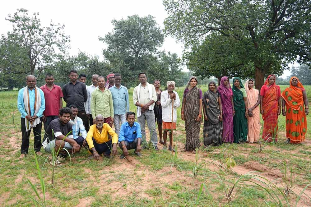 छोटे किसानों की किस्मत संवार रही लेमनग्रास खेती