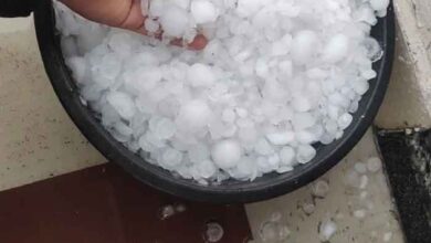 MP में ओले गिरे; 28 जिलों के लिए बारिश-आंधी का अलर्ट