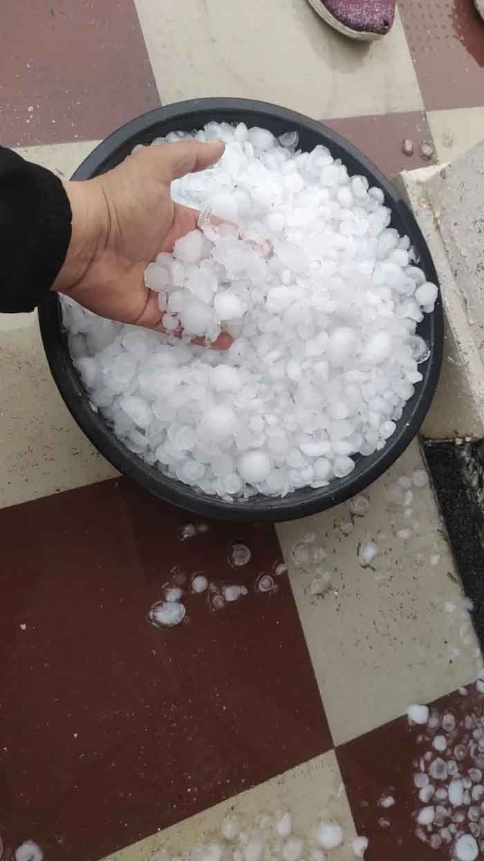 MP में ओले गिरे; 28 जिलों के लिए बारिश-आंधी का अलर्ट