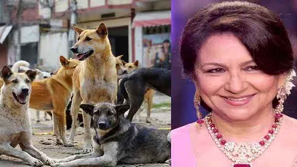 ‘आप हकीकत से पूरी तरह अलग हैं’ — आवारा कुत्तों के मुद्दे पर SC की शर्मिला टैगोर को सख्त फटकार