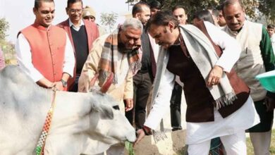 उप मुख्यमंत्री शुक्ल ने बसामन मामा गौवंश वन विहार में ऋषि कुलम का किया भूमिपूजन