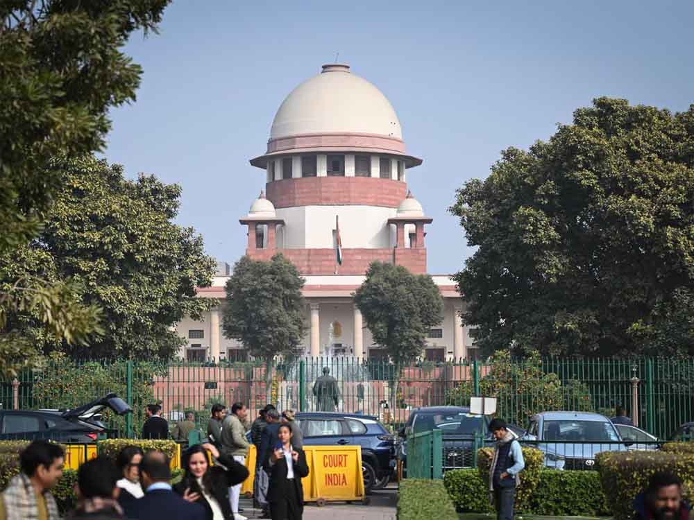 SC में सिब्बल की मांग– आवारा कुत्तों की हो नसबंदी, जज का तंज: काउंसिलिंग भी करवा दीजिए