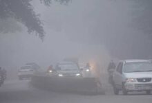 मप्र में मौसम का अलर्ट: ग्वालियर-दतिया और रीवा में घना कोहरा, विजिबिलिटी सिर्फ 50 मीटर; 8 जिलों में बारिश