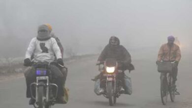 मकर संक्रांति पर MP का मौसम बदला, ग्वालियर में अब भी ठंड, कुछ जगह धूप तो कुछ जगह तेज सर्दी