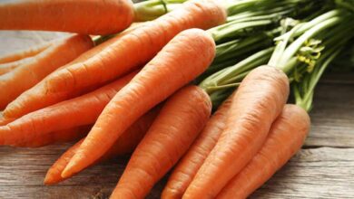 सर्दियों में गाजर खाने के फायदे जानकर आप भी इसे रोज़ डाइट में शामिल करेंगे