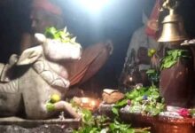 महाशिवरात्रि पर छोटा महादेव भोपाली गुफा में नहीं मिलेगा प्रवेश