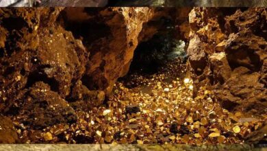 कटनी बना MP की पहली ‘स्वर्णनगरी’, 50 साल बाद मिली सोने की खदान, मार्च से शुरू होगा खनन कटनी बना MP की पहली ‘स्वर्णनगरी’, 50 साल बाद मिली सोने की खदान, मार्च से शुरू होगा खनन