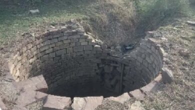 बांधवगढ़ में 4100 कुओं पर मुंडेर का निर्माण, वन्यजीवों की मौत से लिया सबक, प्रशासन और टाइगर रिजर्व की पहल