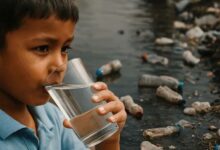 यमुना में खतरे की घंटी! पानी में मिले 13 तरह के माइक्रोप्लास्टिक, रिपोर्ट ने दिया चेतावनी