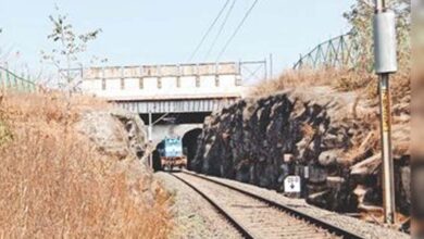 रातापानी में बनेंगे चार एनीमल ओवरपास, 10 साल में मिडघाट में 10 तेंदुए और 9 बाघ हुए मृत रातापानी में बनेंगे चार एनीमल ओवरपास, 10 साल में मिडघाट में 10 तेंदुए और 9 बाघ हुए मृत