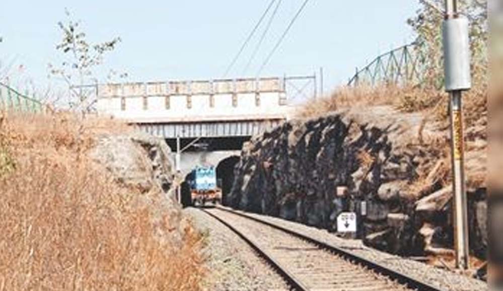 रातापानी में बनेंगे चार एनीमल ओवरपास, 10 साल में मिडघाट में 10 तेंदुए और 9 बाघ हुए मृत