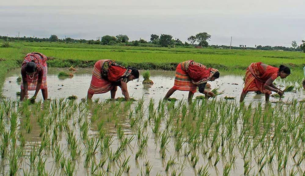 छत्तीसगढ़ सरकार की योजना: किसान तैयार हो जाएं, 1.5 लाख रुपये तक मिलेगा लाभ, जानें आवेदन प्रक्रिया